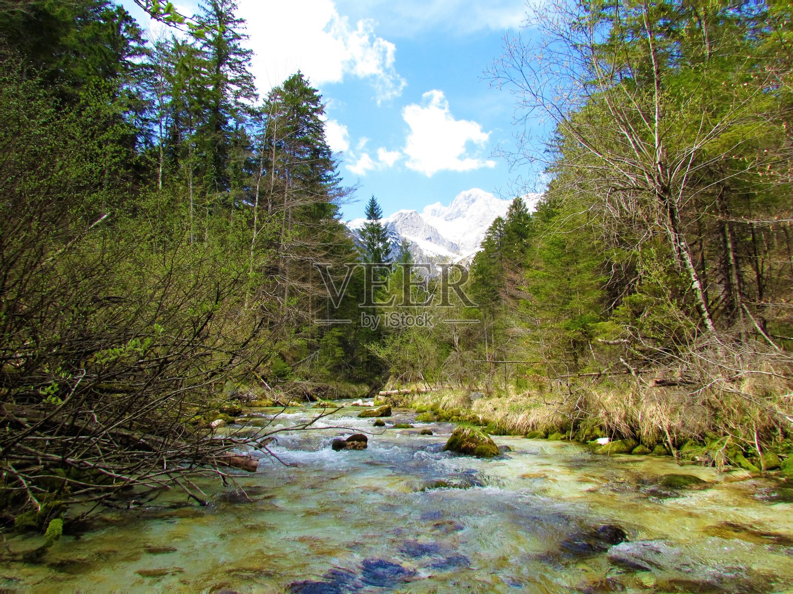 美丽的绿色的Kamniska Bistrica河在斯洛文尼亚的春天与白雪覆盖的山顶在Kamnik-Savinja阿尔卑斯山后面照片摄影图片