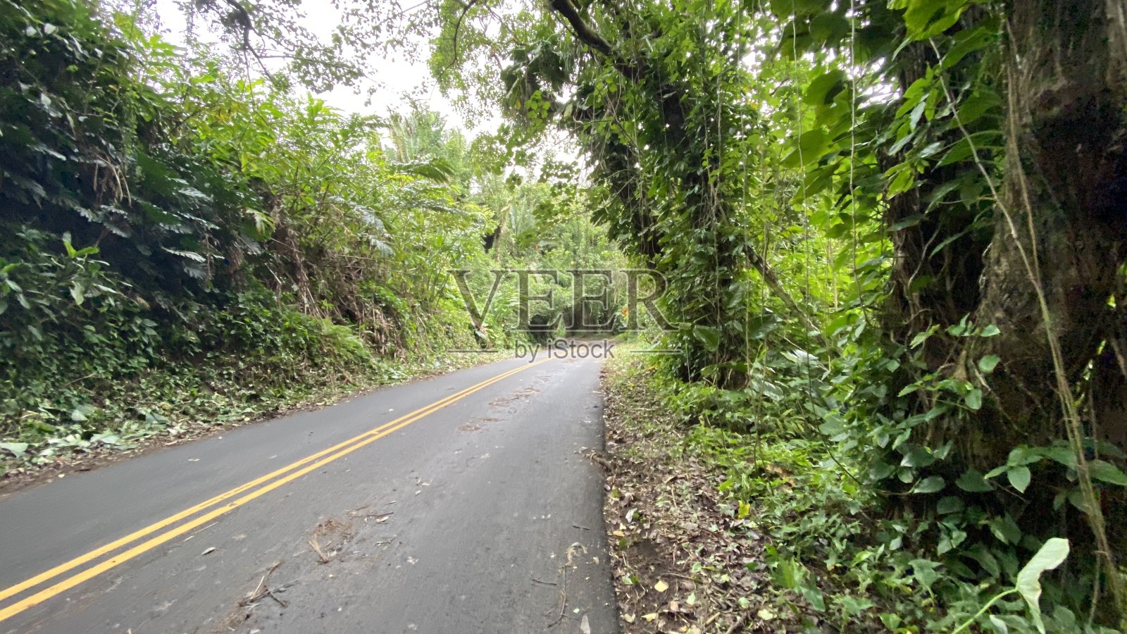 努阿努·帕利照片摄影图片