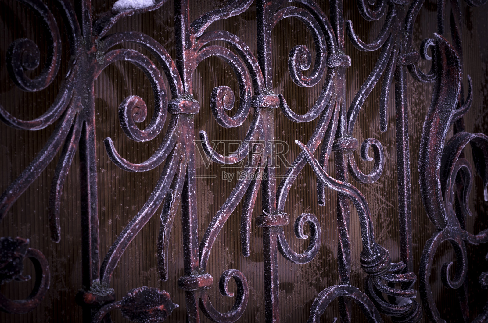 锻造金属元素的大门在寒冷中。照片摄影图片