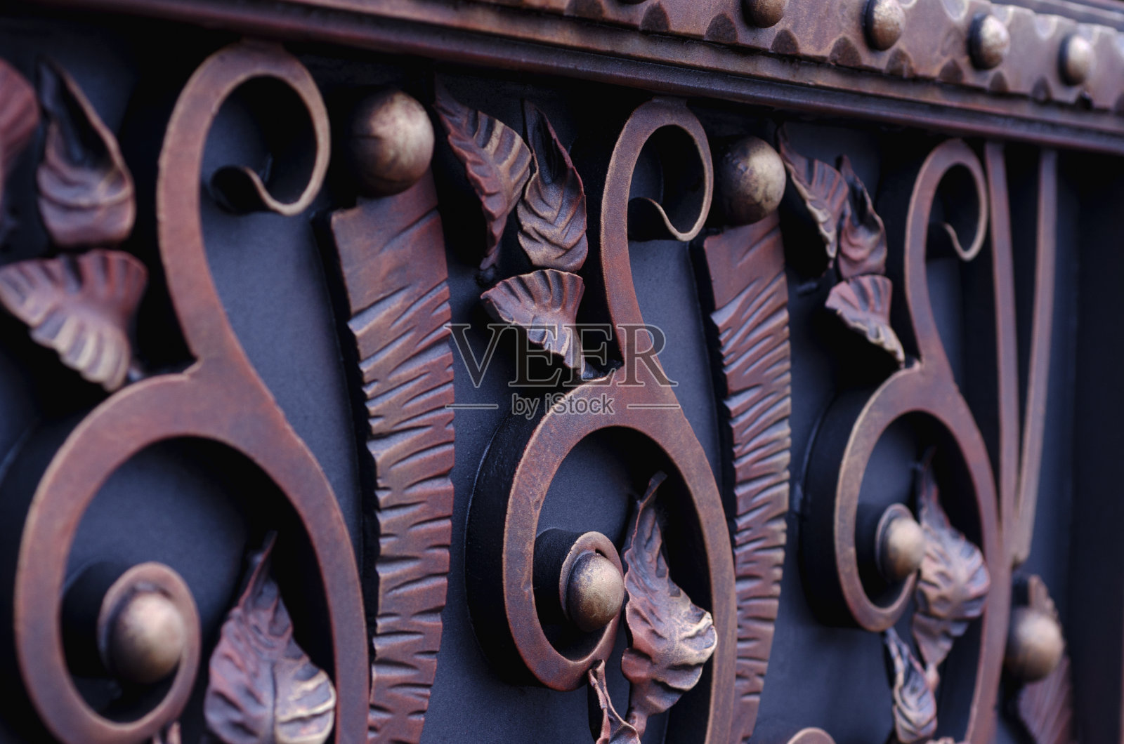 带有锻造元素的金属门。照片摄影图片