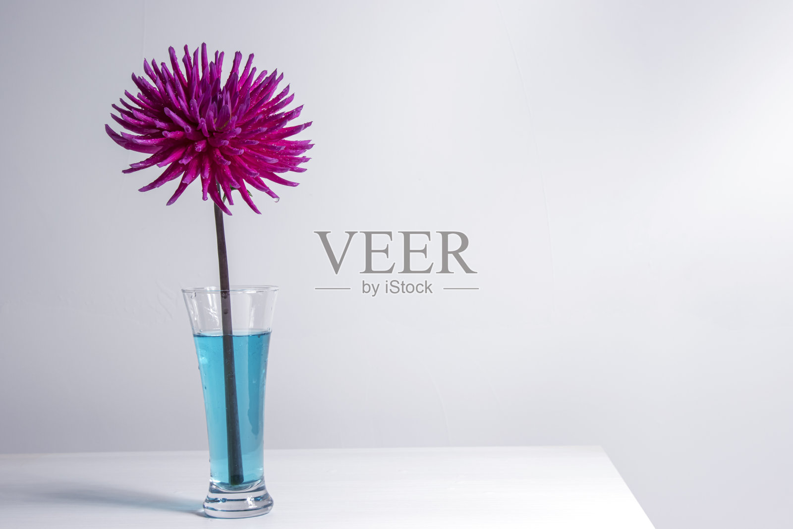 花在花瓶里照片摄影图片