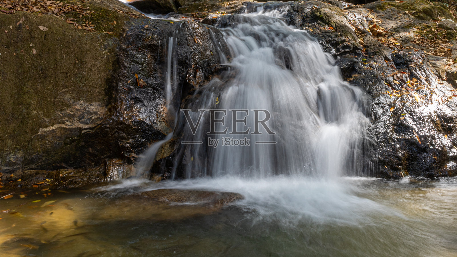常绿森林和瀑布照片摄影图片