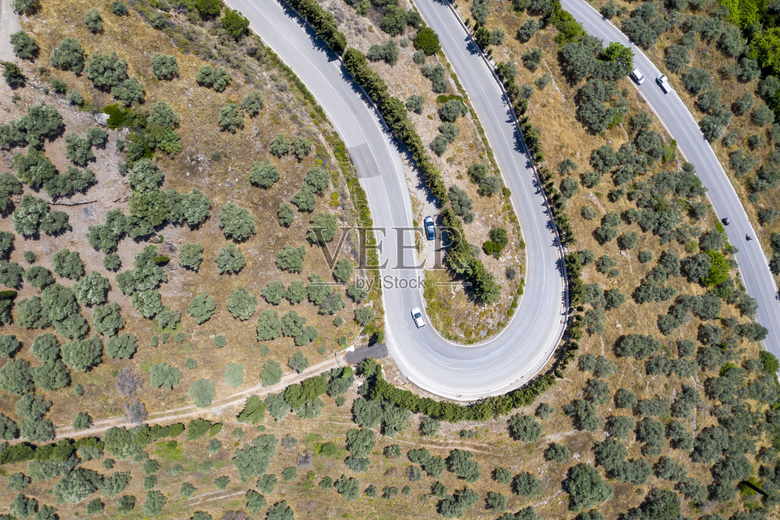 森林之路照片摄影图片