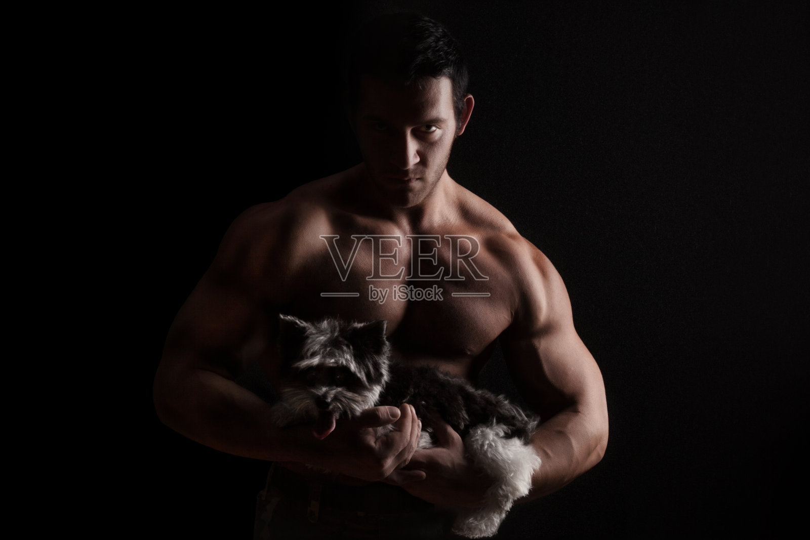 英俊的健美运动员抱着约克郡犬。照片摄影图片