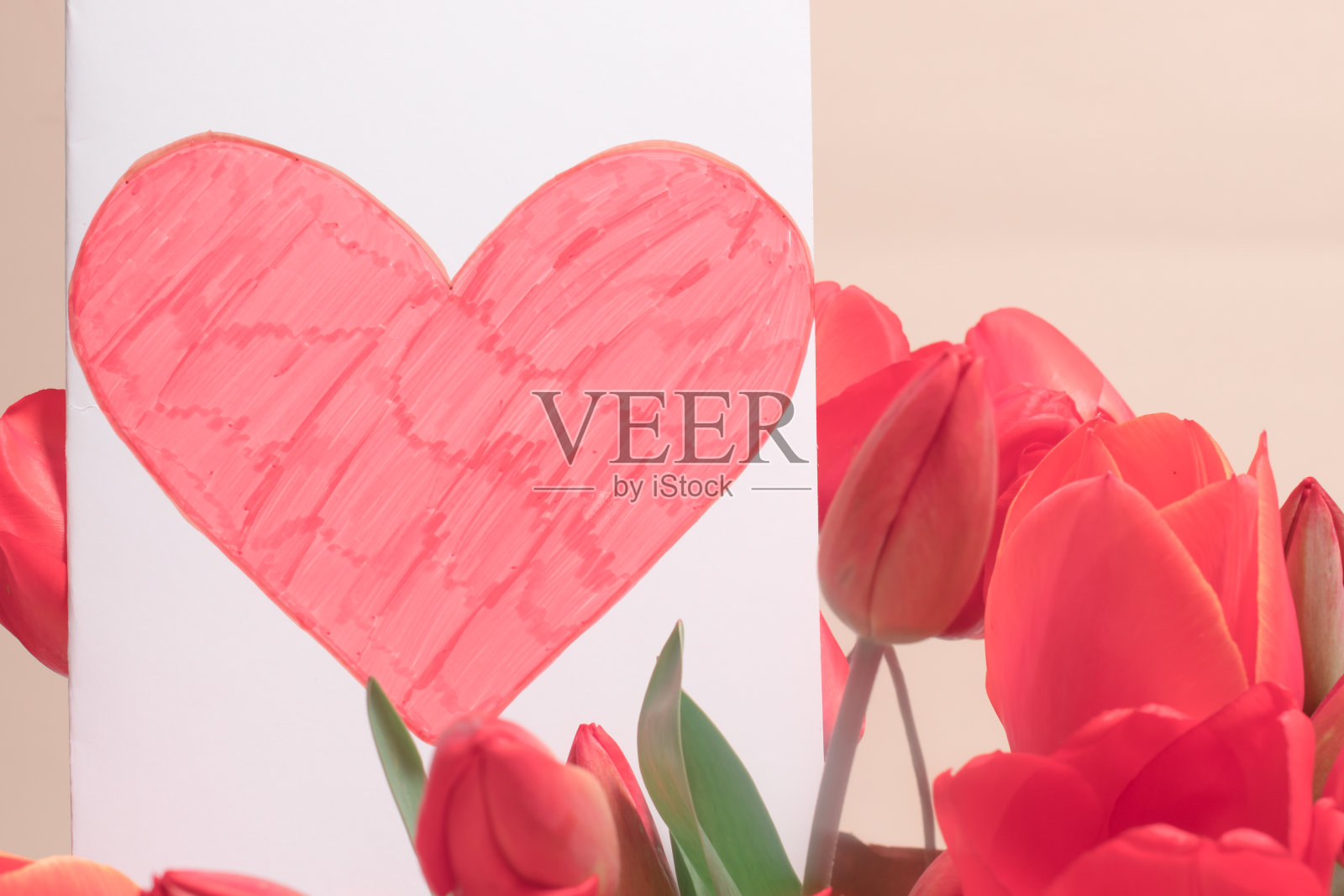 美丽的贺卡与郁金香和明信片红色的心与地方的文字。2月14日，情人节，母亲节照片摄影图片