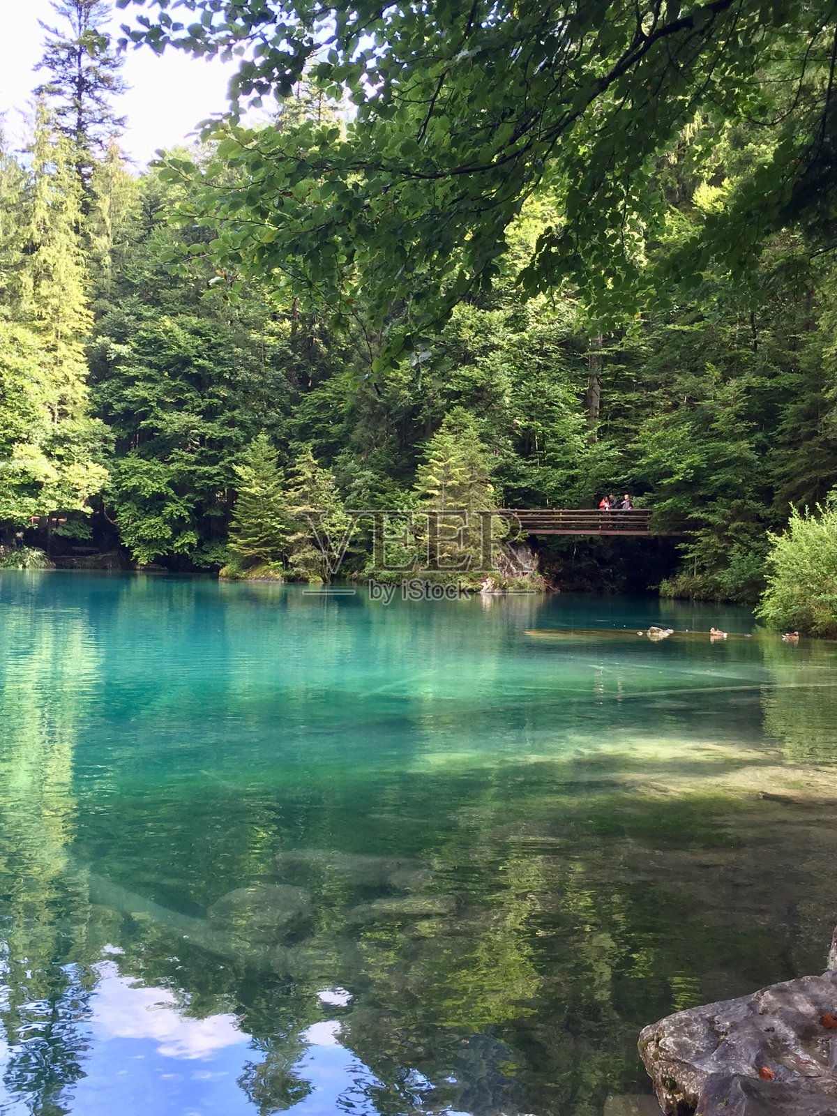 瑞士伯尔尼照片摄影图片