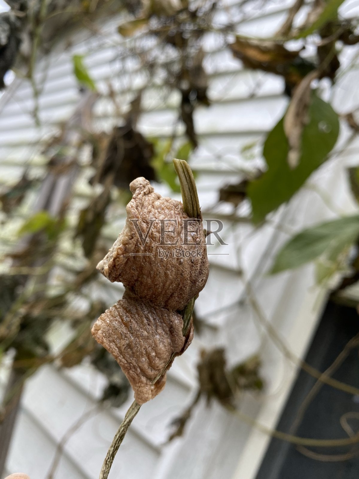 生命开始的地方照片摄影图片