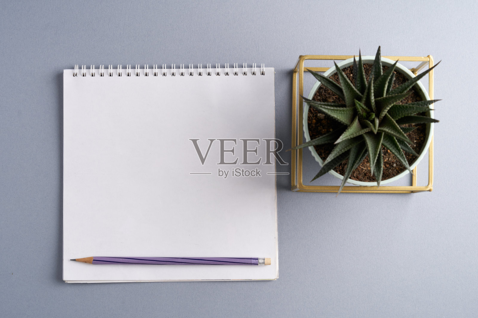 俯视图的仙人掌植物和空白便条垫的拷贝空间照片摄影图片