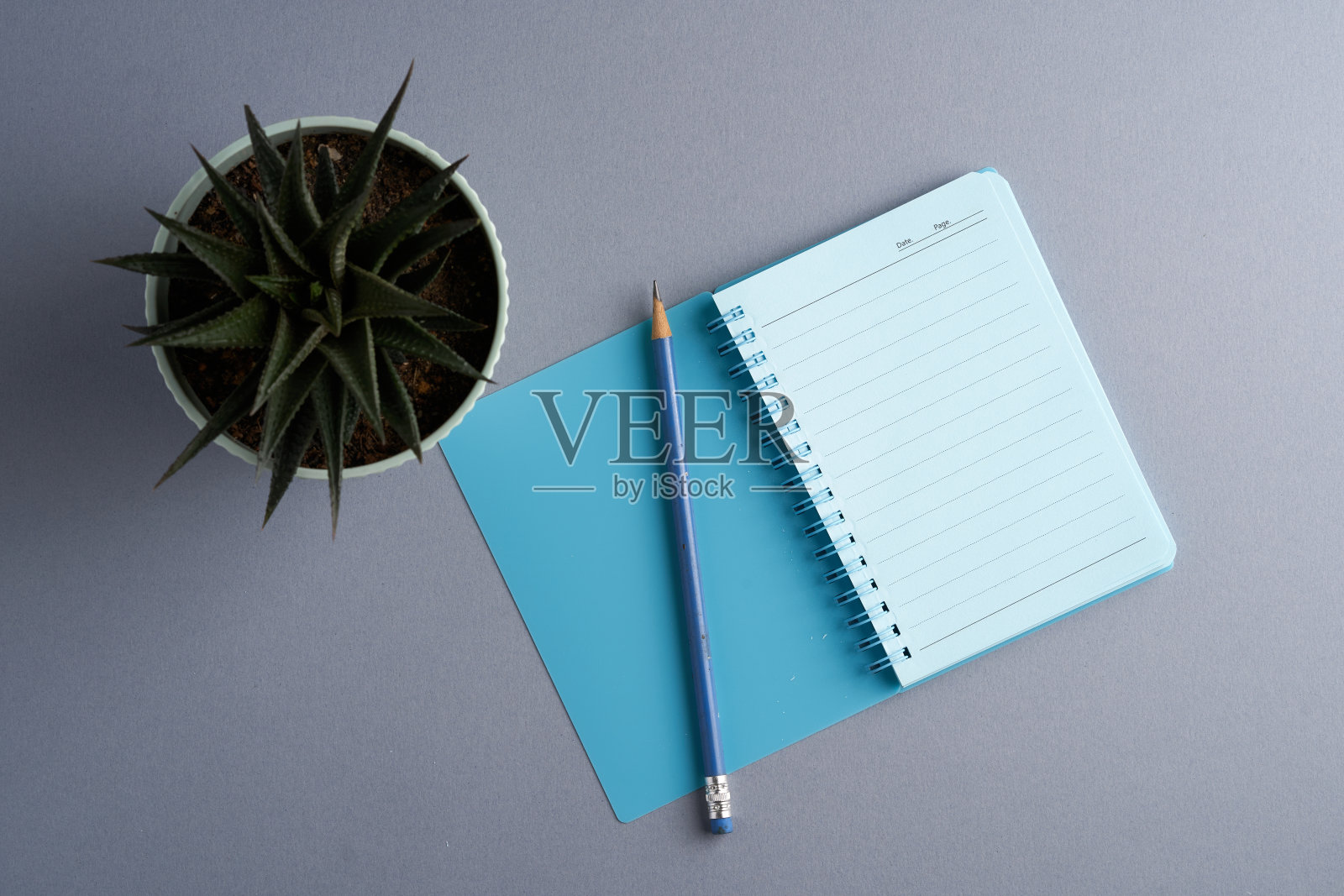 俯视图的仙人掌植物和空白便条垫的拷贝空间照片摄影图片