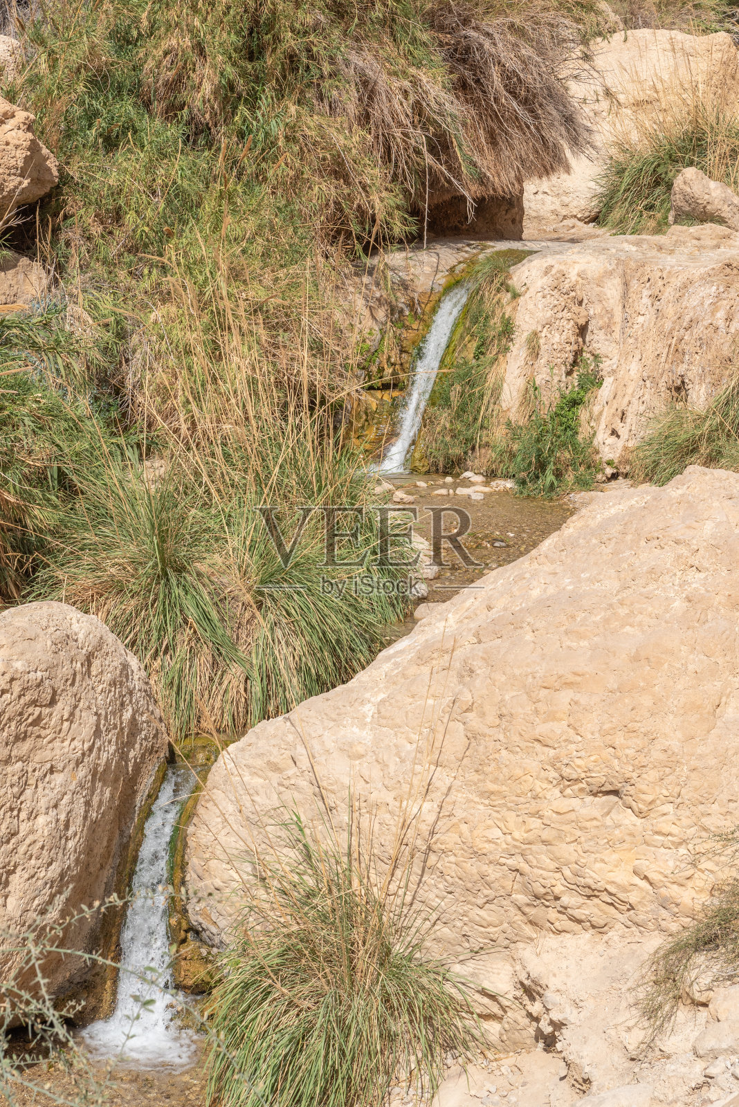 以色列隐基底国家公园的瀑布景观照片摄影图片