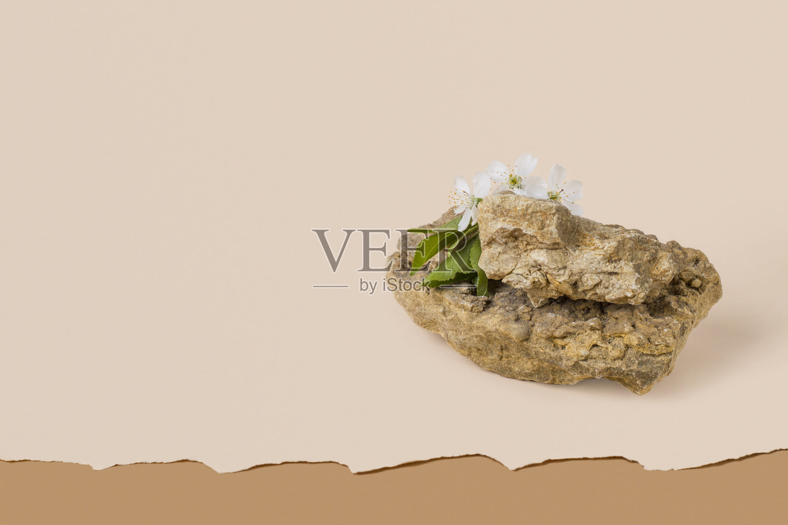 简约模型的石材平台和樱花枝在米色背景与复制空间。单色。化妆品底色为天然米色照片摄影图片