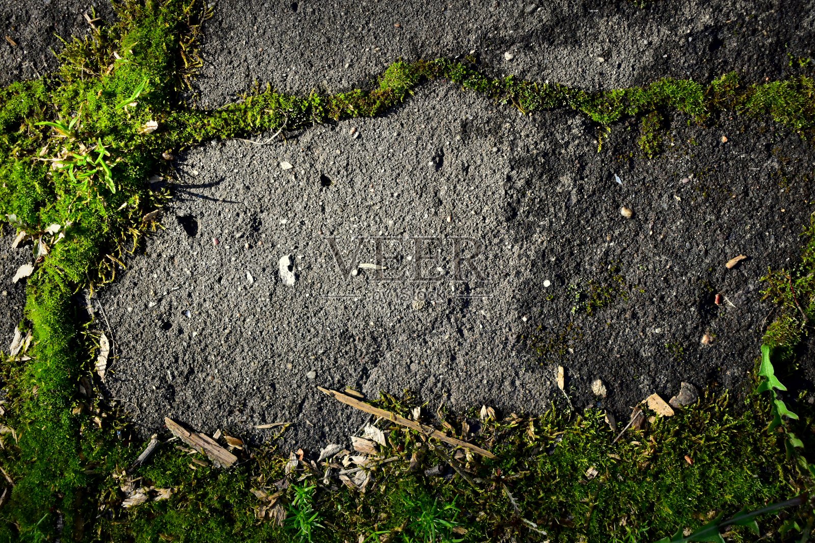 长满青苔的老沥青照片摄影图片