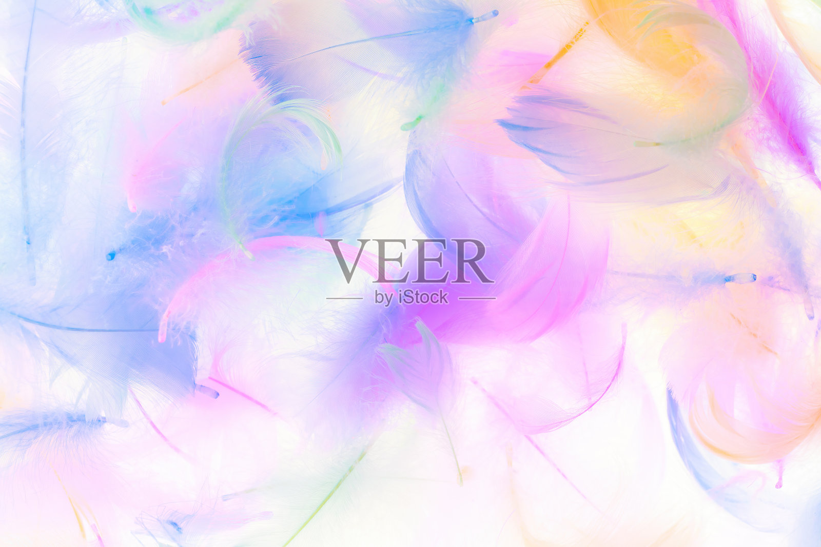 彩色的羽毛在白色的背景上照片摄影图片