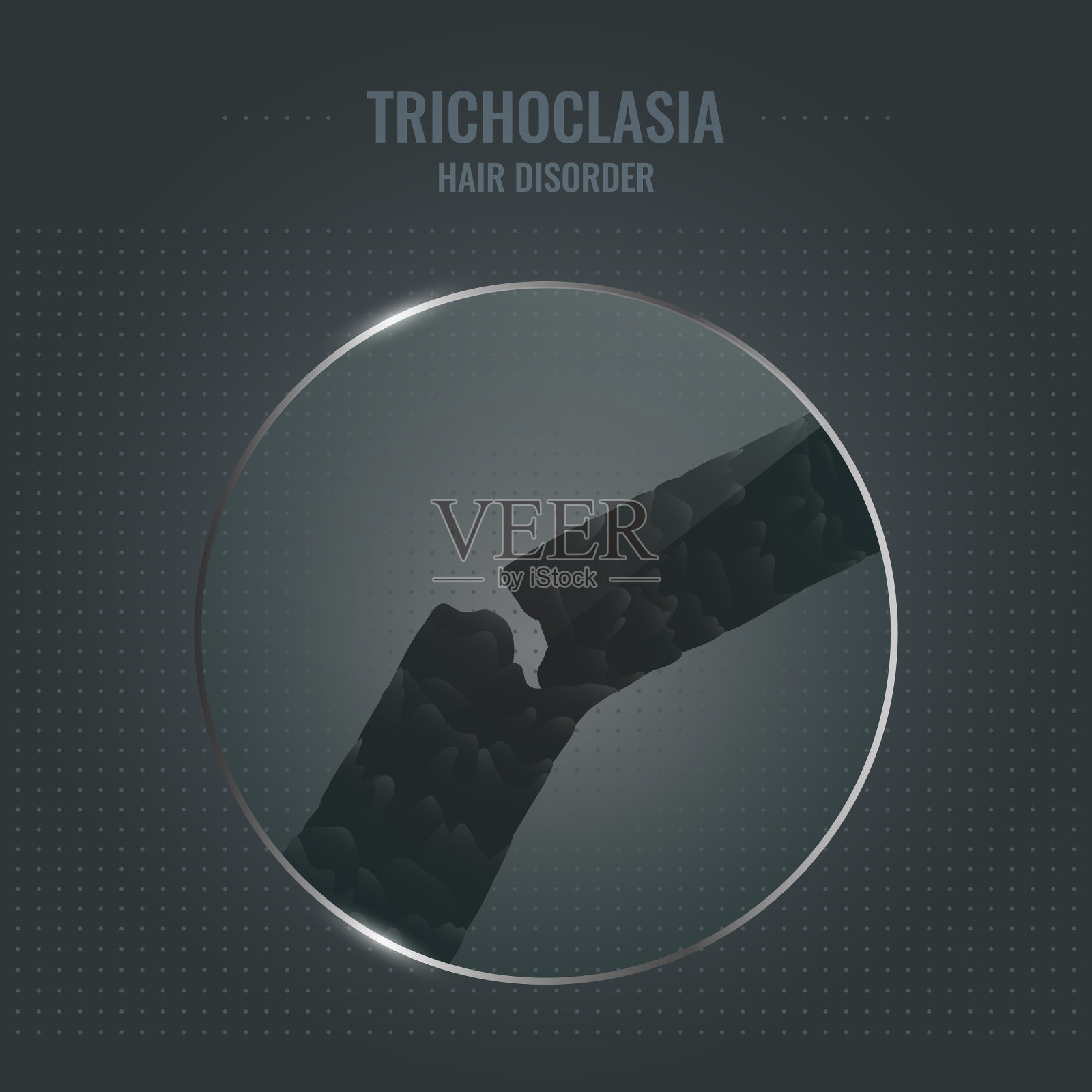 近距离观察毛发脆性紊乱插画图片素材