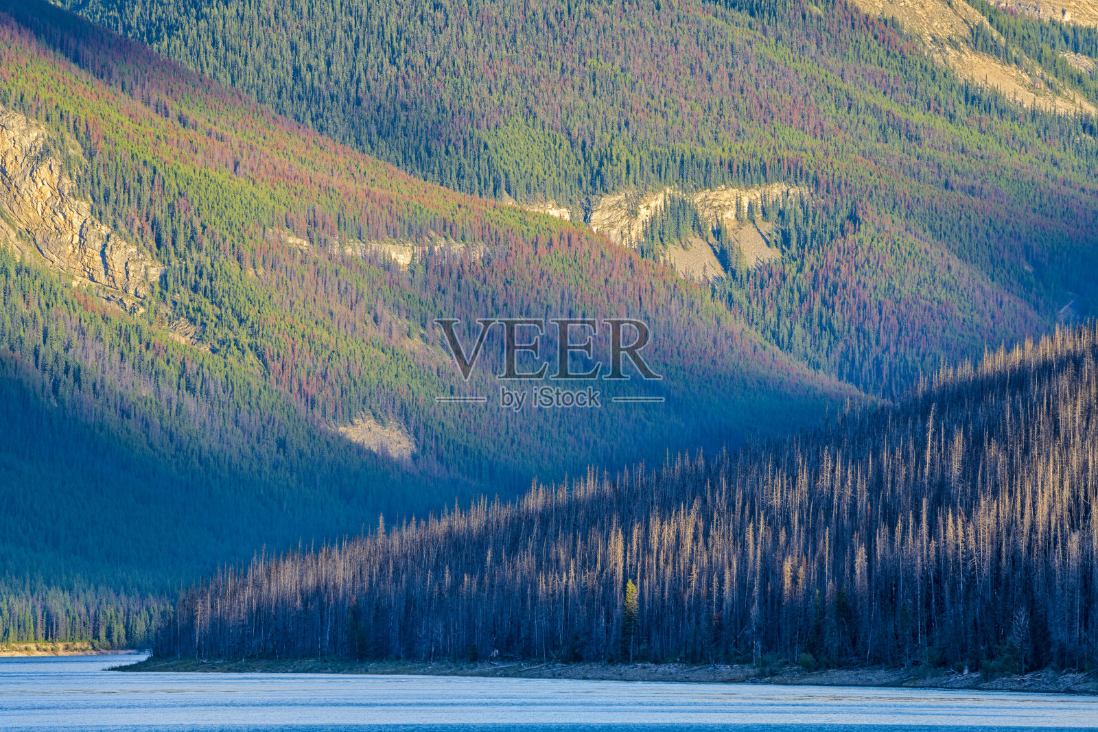 加拿大阿尔伯塔省的贾斯珀国家公园照片摄影图片