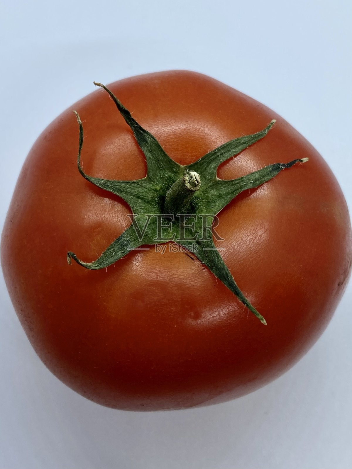 番茄照片摄影图片