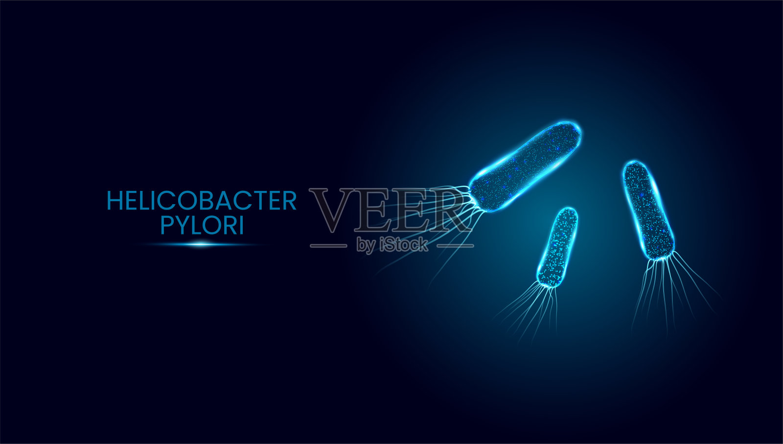 幽门螺杆菌。线框低聚样式。发光的多角形细菌细胞分离在深蓝色的背景。矢量插图。插画图片素材