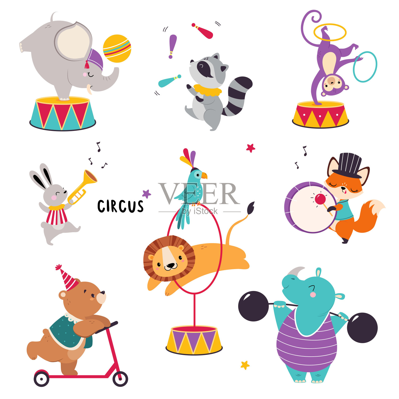 马戏团的动物表演魔术与浣熊杂耍和猴子翻跟斗与呼啦圈向量集插画图片素材