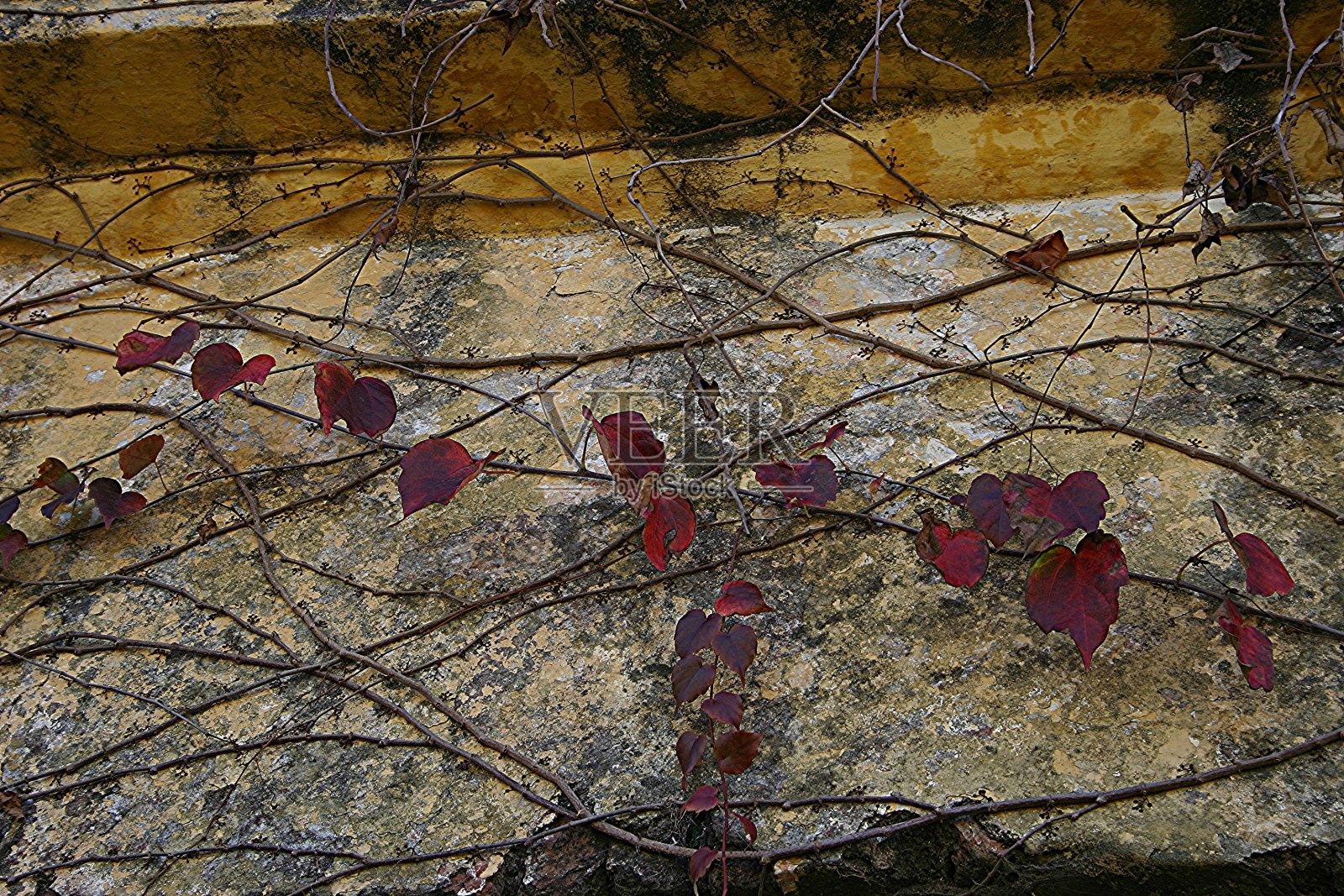 卡洛斯·基恩村照片摄影图片
