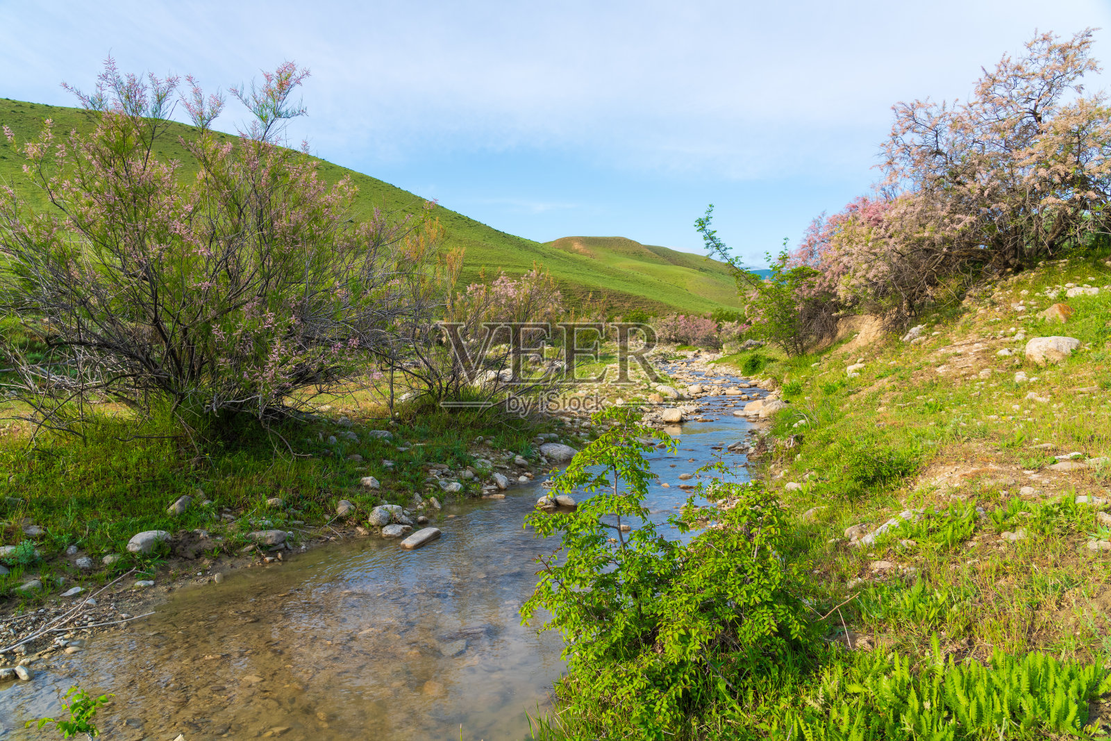 高地上的一条小河照片摄影图片
