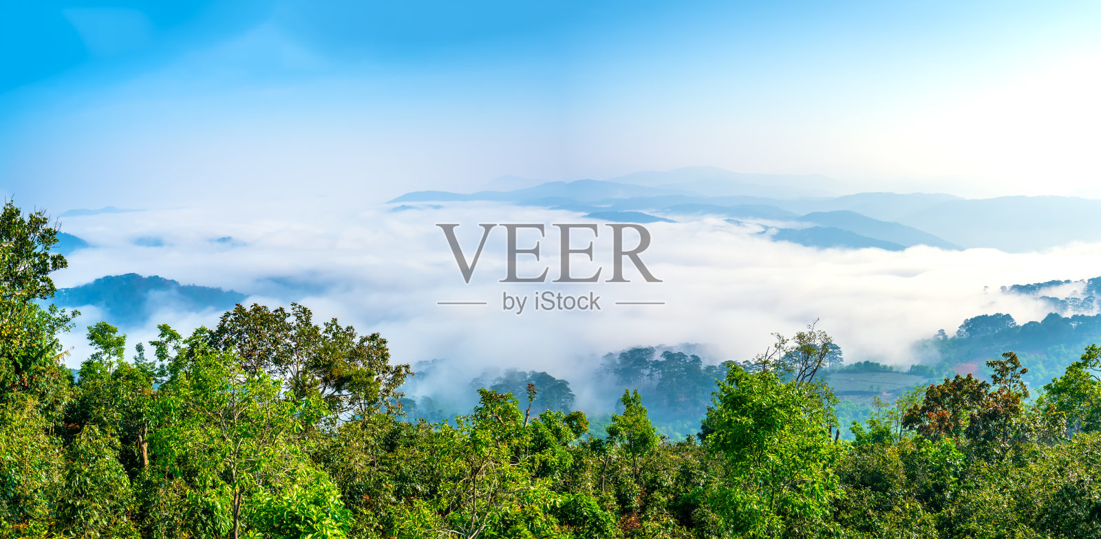 晨雾中山坡上的景色照片摄影图片