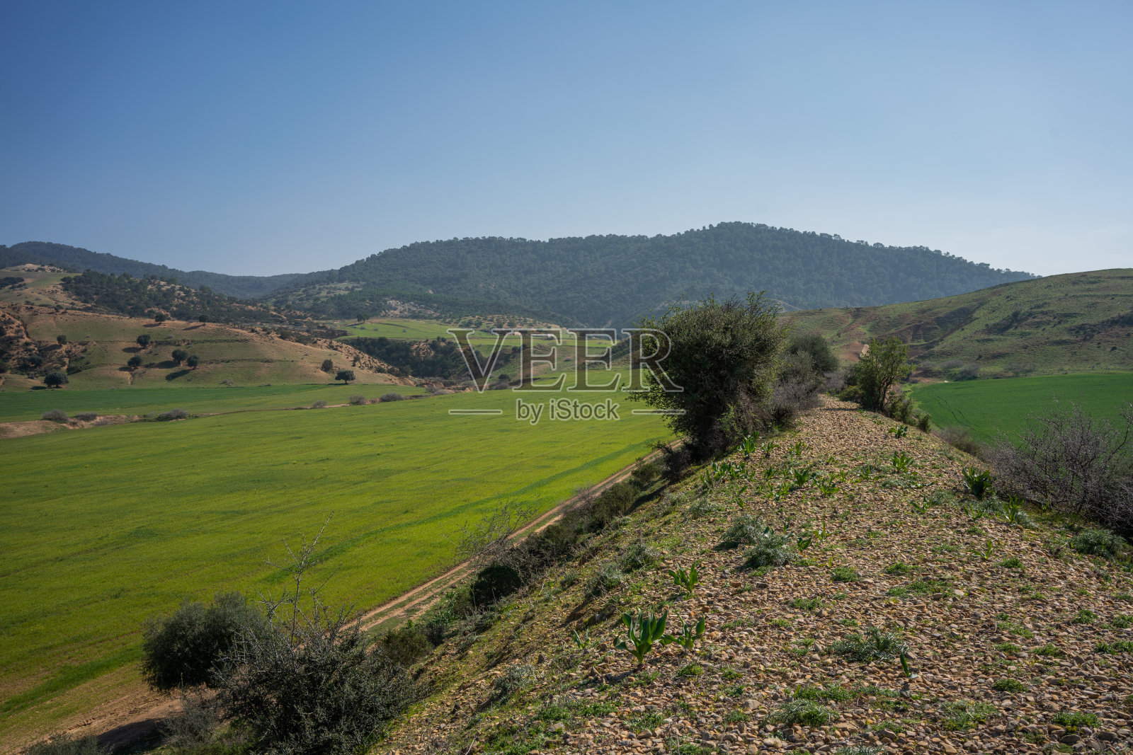 旱谷Mellegue照片摄影图片