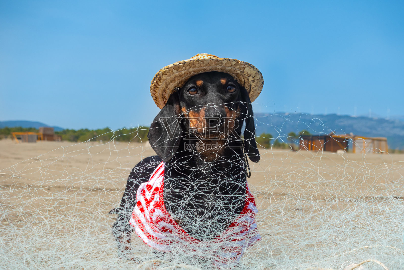 漂亮的腊肠小狗戴着宽边草帽和渔网在沙滩上。一个阳光明媚的工作日，靠捕鱼生活的海滨小镇照片摄影图片