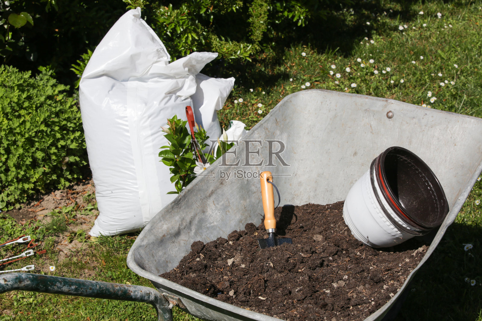 花园铲土照片摄影图片