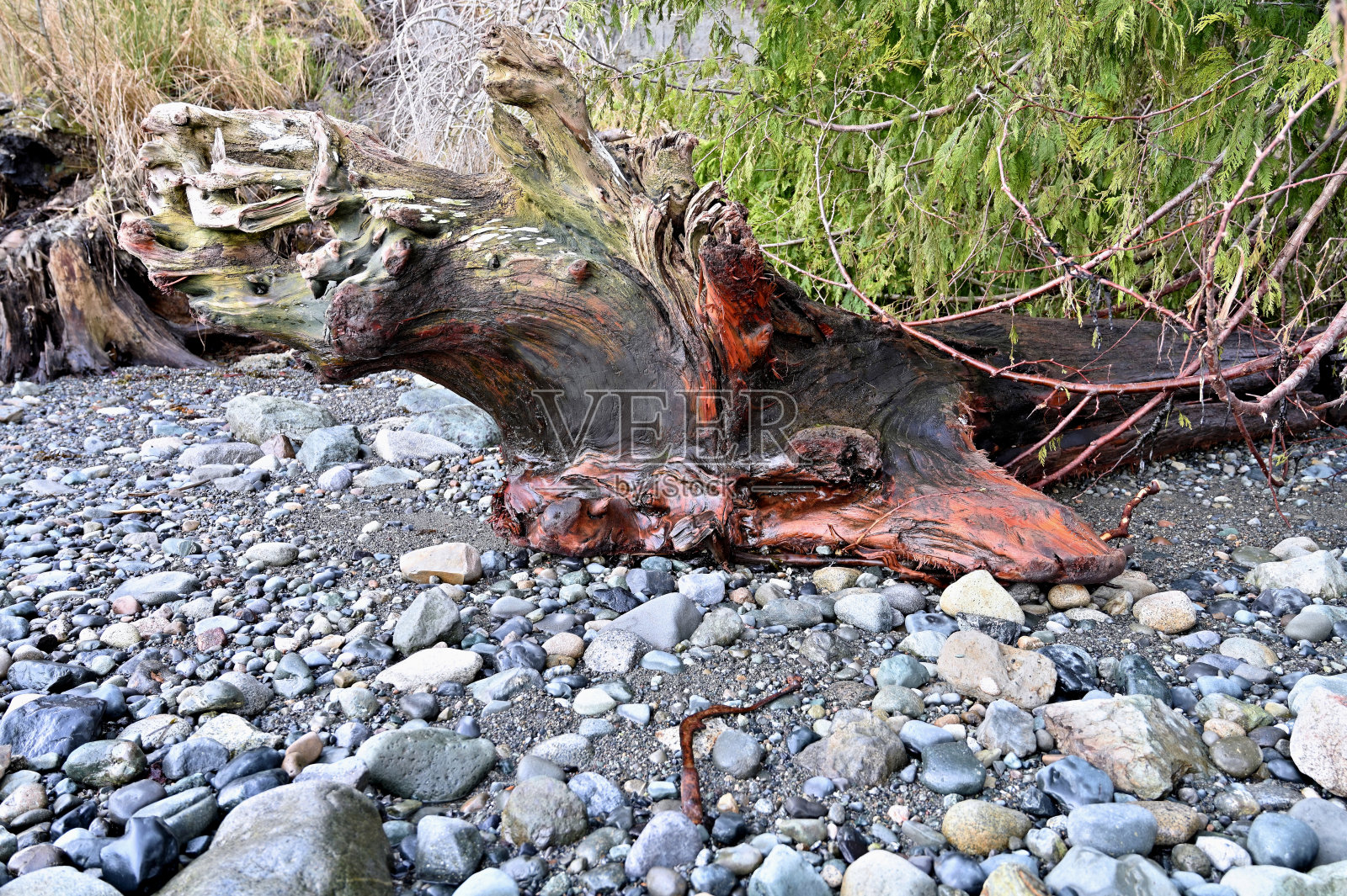 多颜色的浮木照片摄影图片