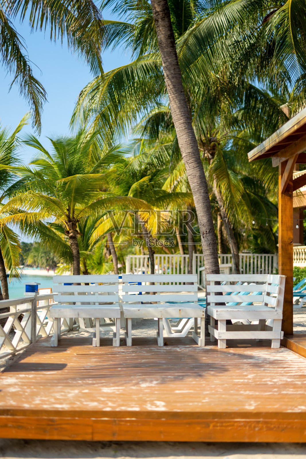 沙滩上的躺椅和日光浴椅照片摄影图片