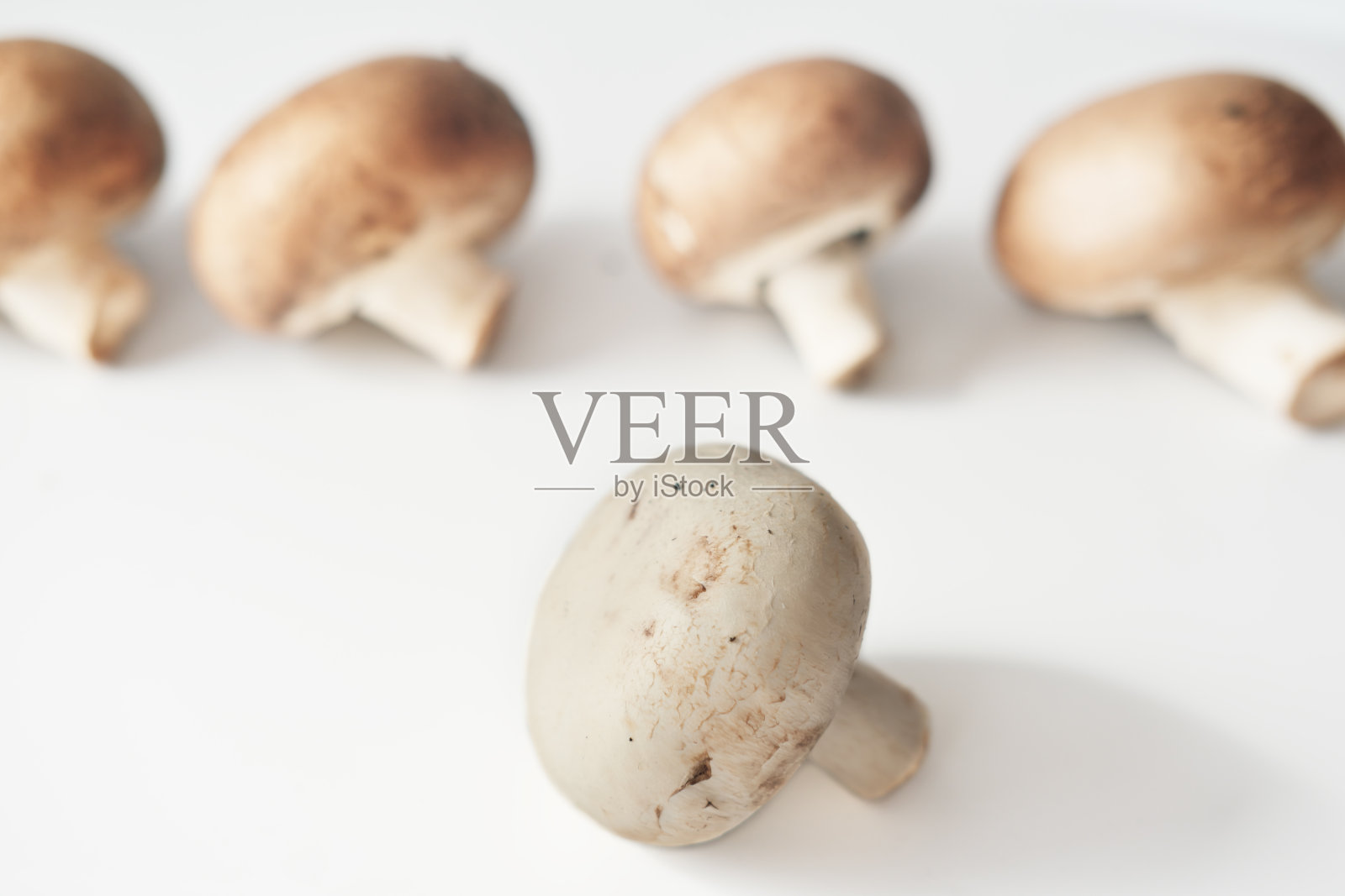 森林蘑菇的近景。素食成分。高蛋白食物照片摄影图片