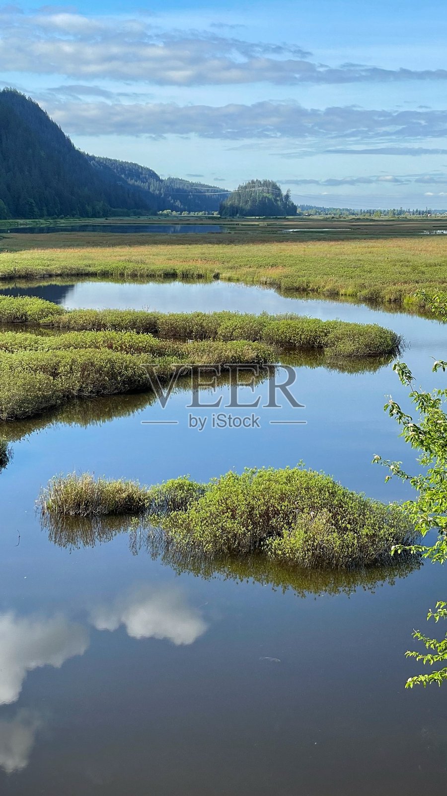 皮特湖区风景优美照片摄影图片