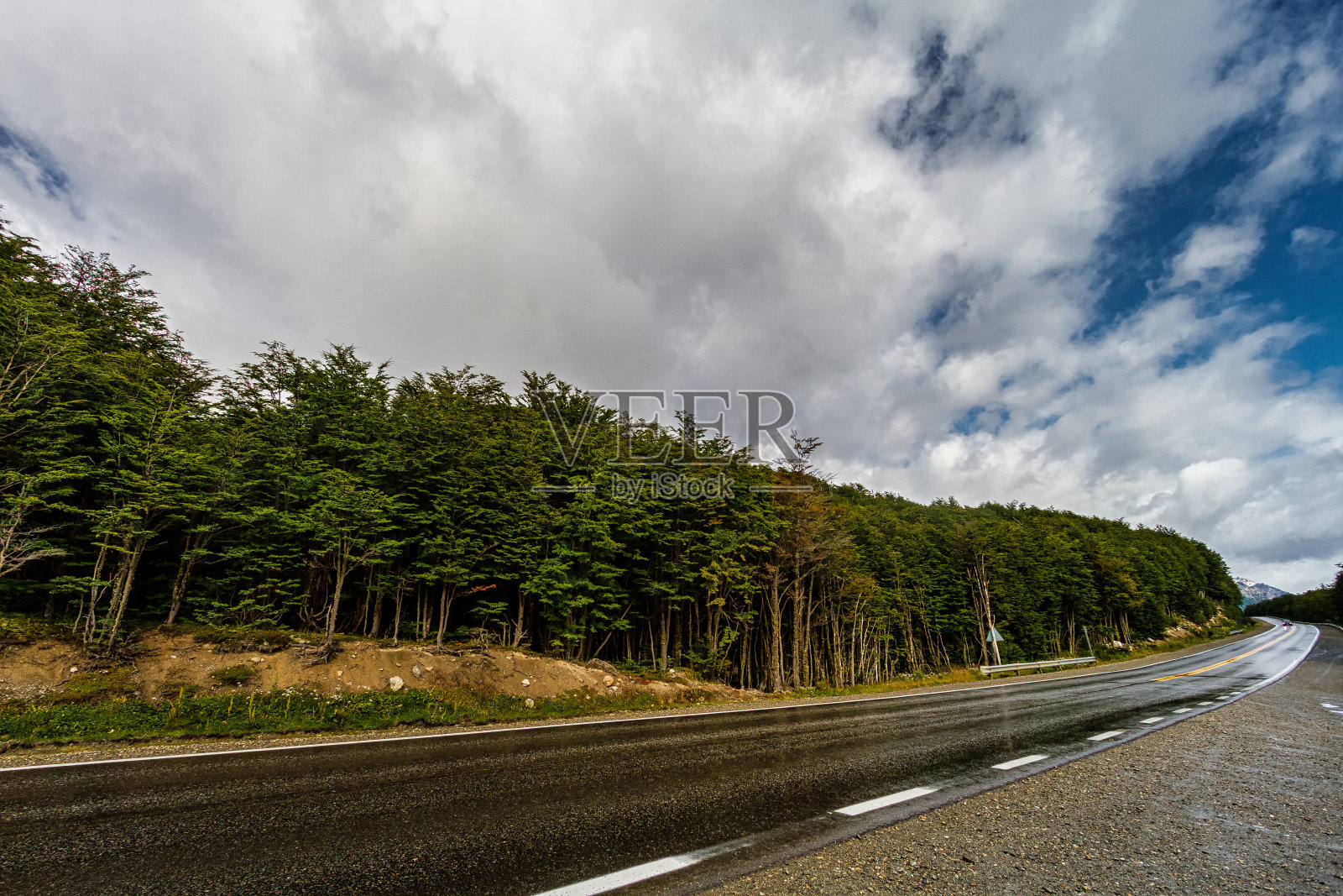 火地岛(阿根廷)乌斯怀亚郊区森林旁的湿路照片摄影图片