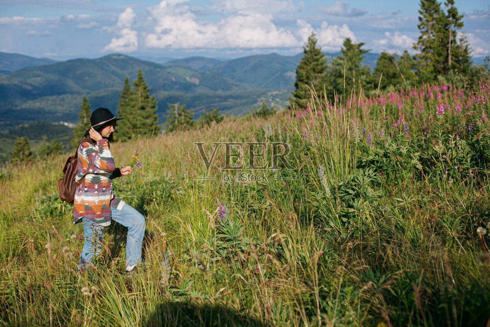 女人旅行者背包和帽子走在美丽的山和采集野花照片摄影图片
