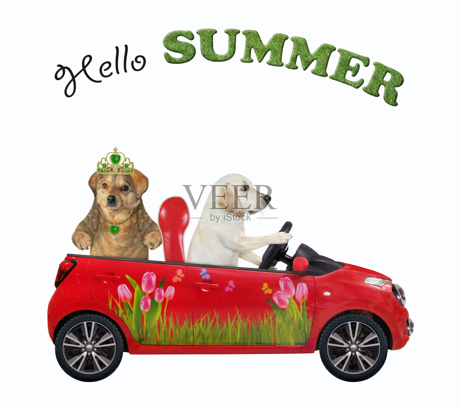 拉布拉多犬和他的朋友坐在红色的车里照片摄影图片