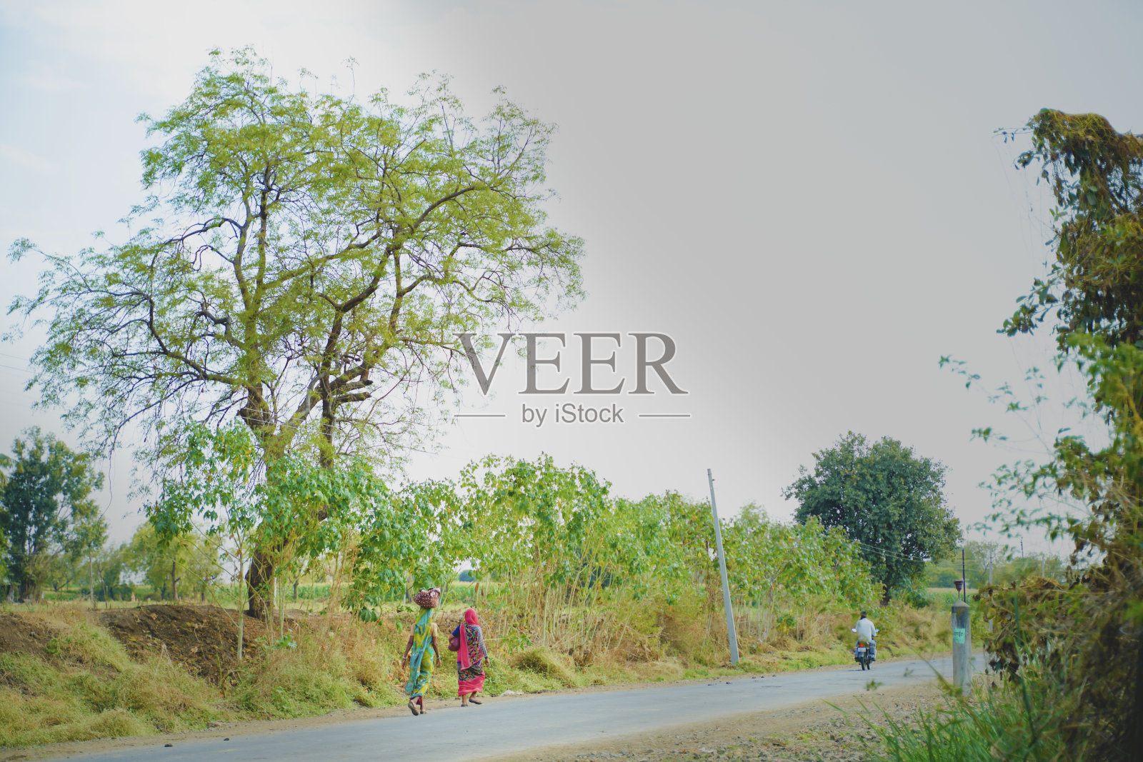 可怜的印度农民在路上照片摄影图片