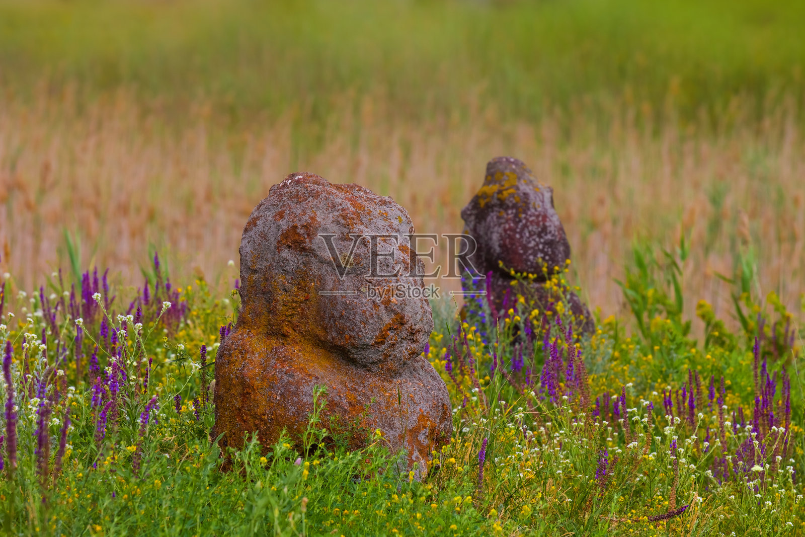 草原上古老的石像照片摄影图片