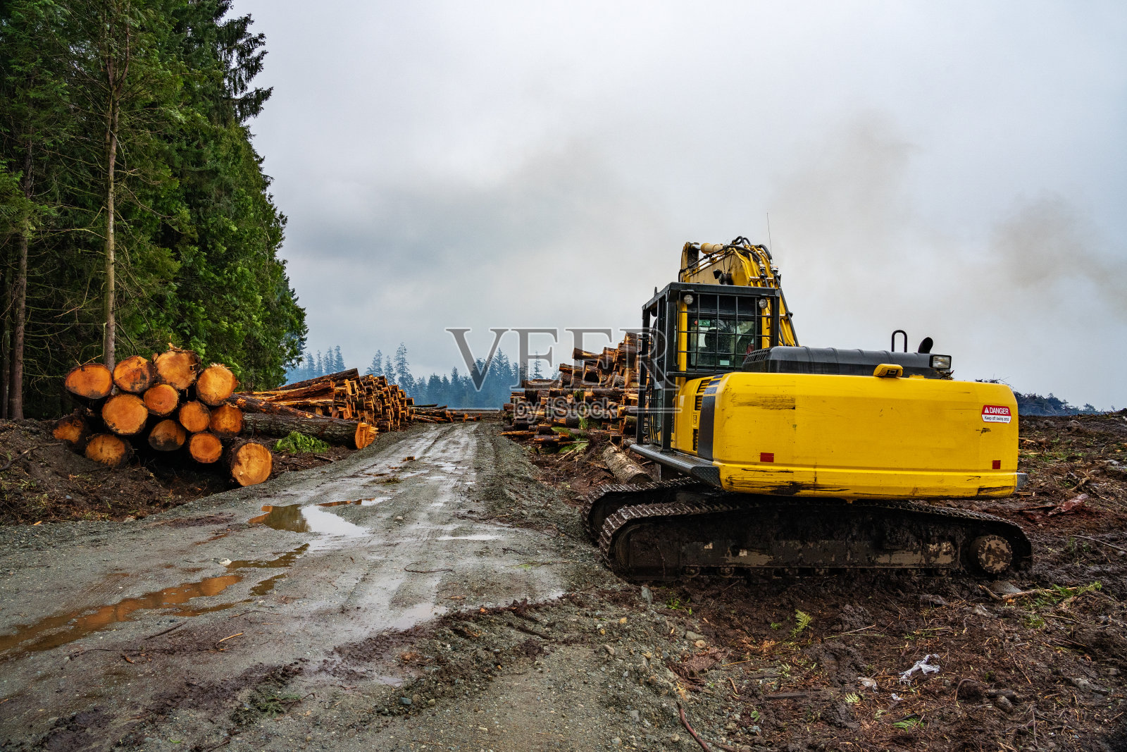 砍伐原始森林照片摄影图片