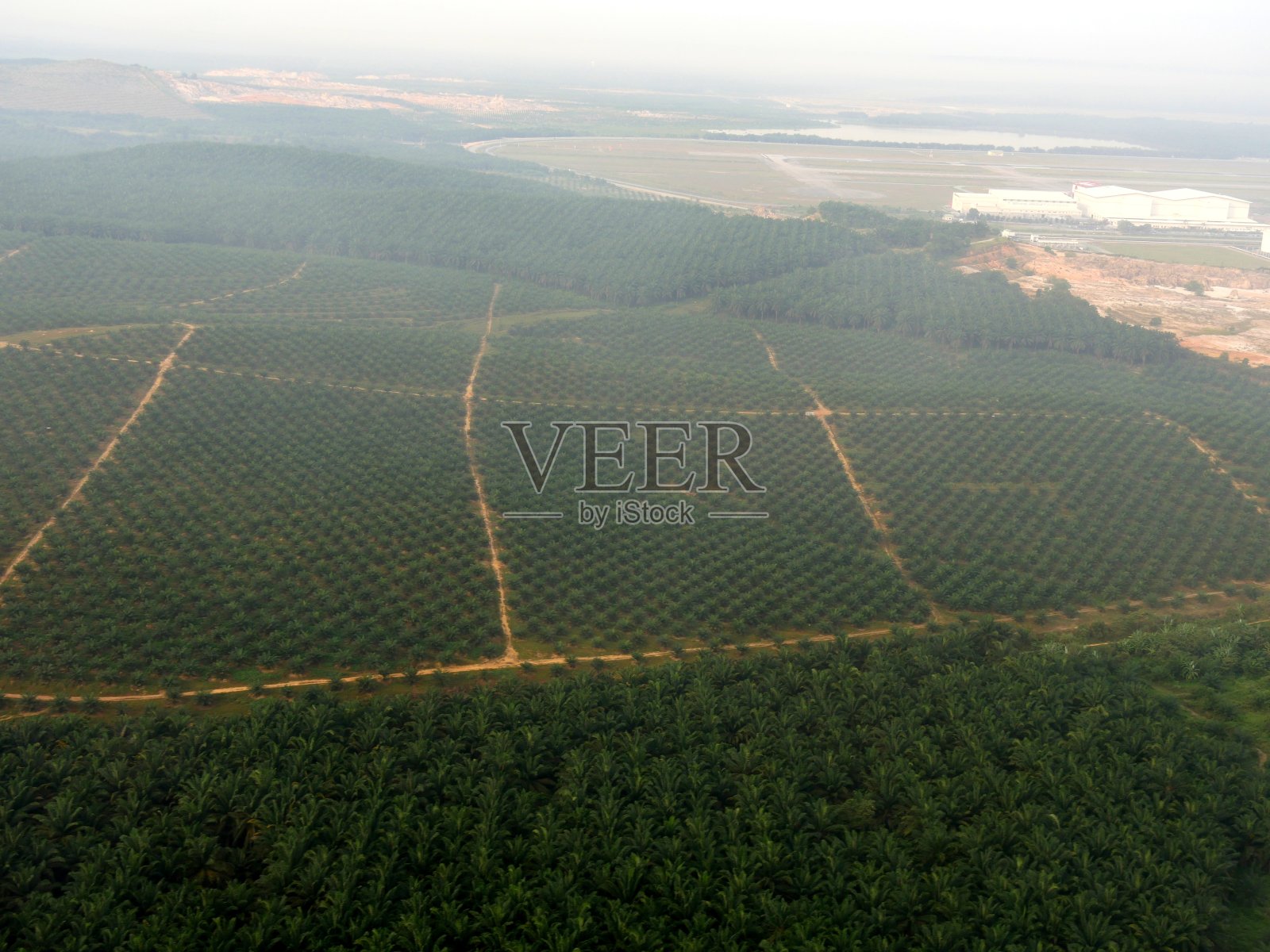 从飞机接近吉隆坡的窗口可以看到广阔的棕榈树种植园。照片摄影图片