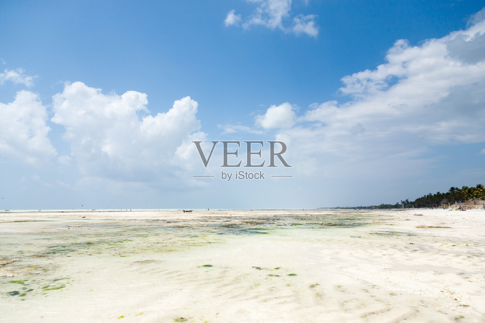 桑给巴尔海滩景观，坦桑尼亚，非洲全景照片摄影图片