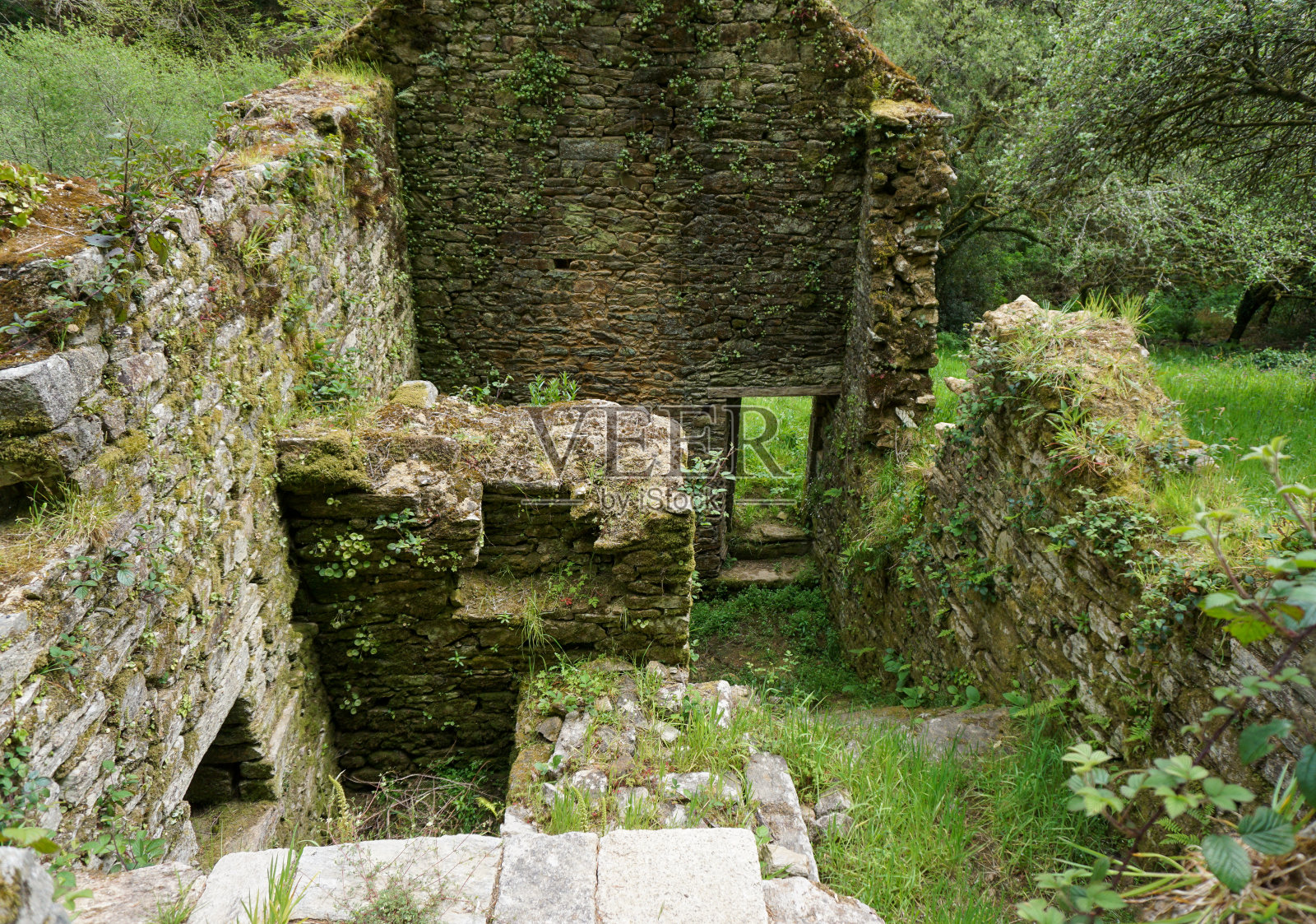 波尔费坦步行照片摄影图片