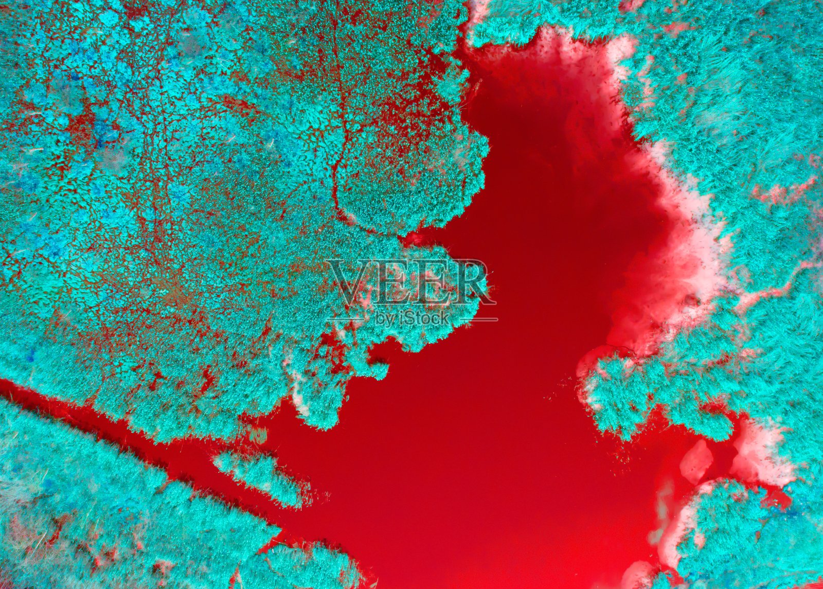 鸟瞰图沼泽与树木在春天。32、环保、洁净空气、生态的理念照片摄影图片