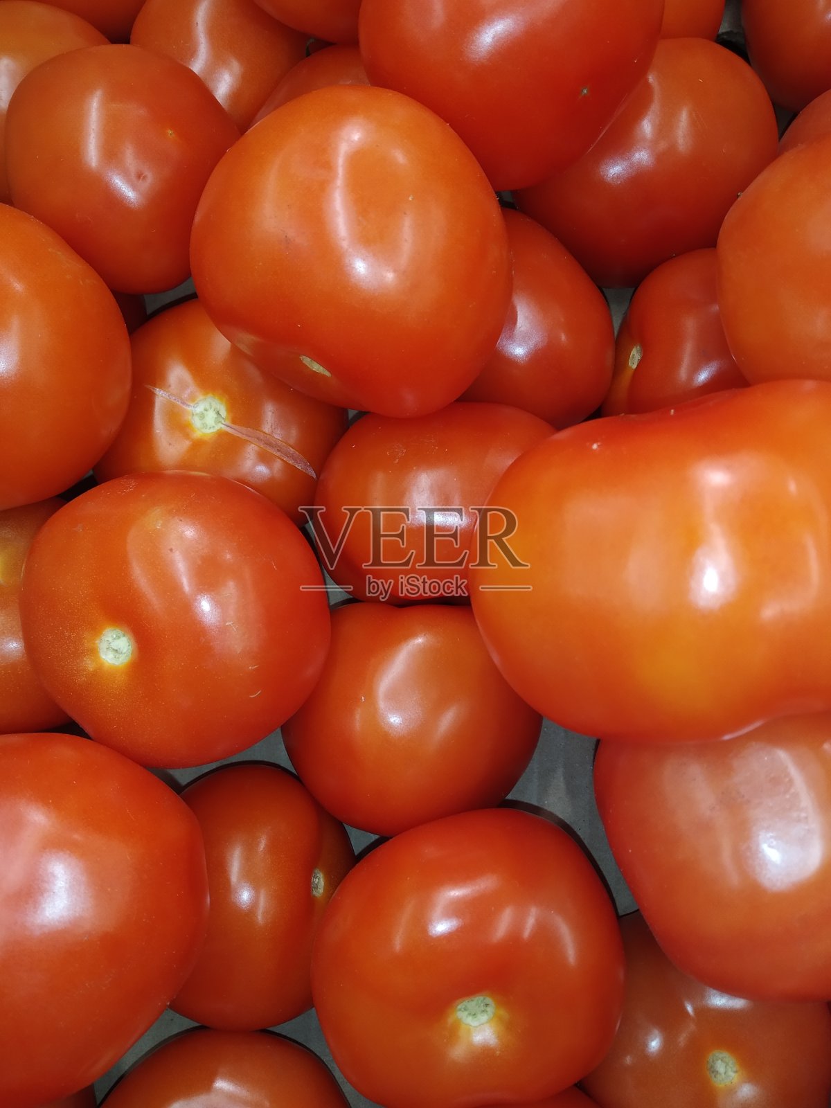 成熟的蔬菜照片摄影图片