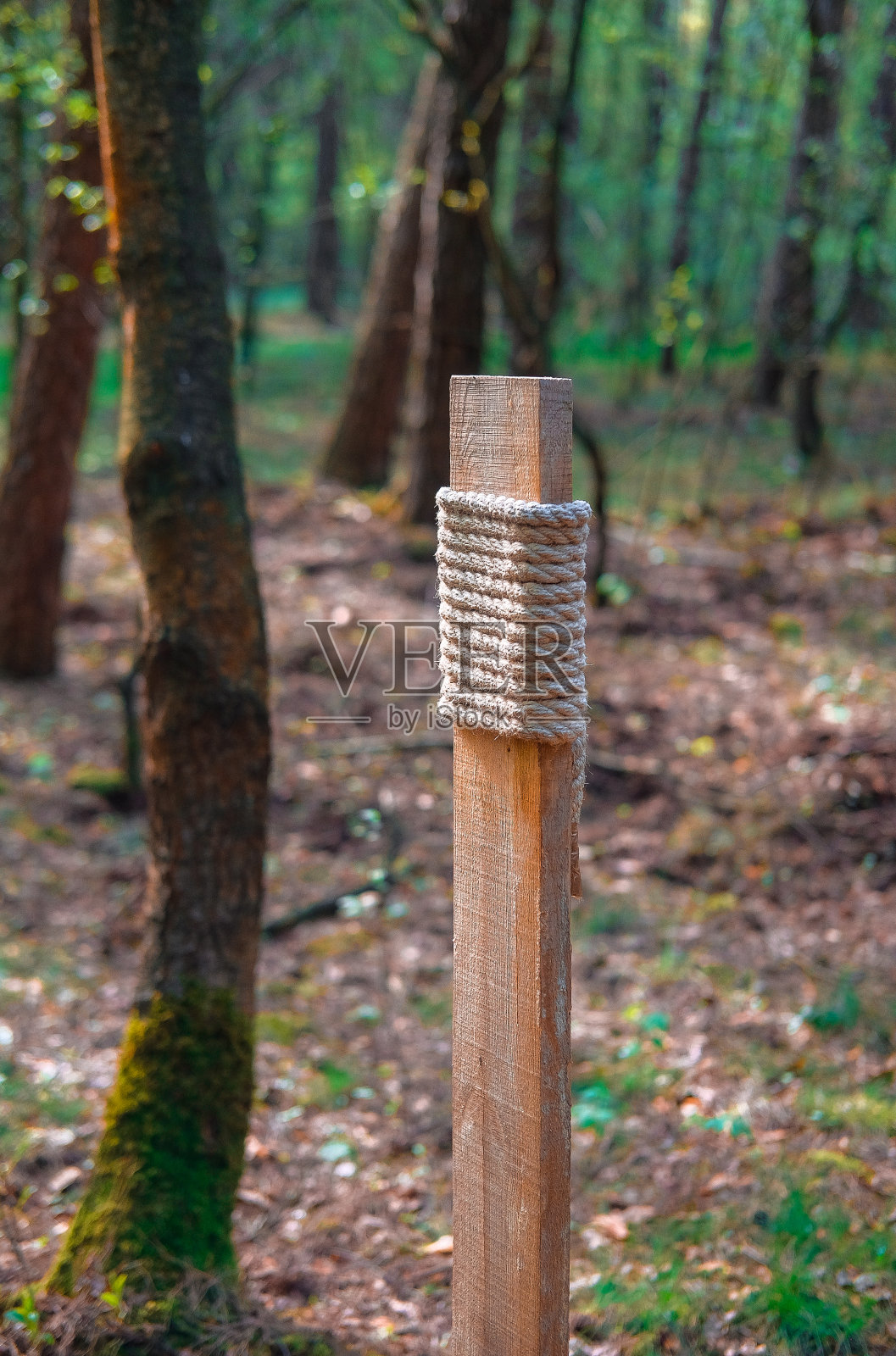 传统的shotokan空手道设备。Makiwara为手照片摄影图片