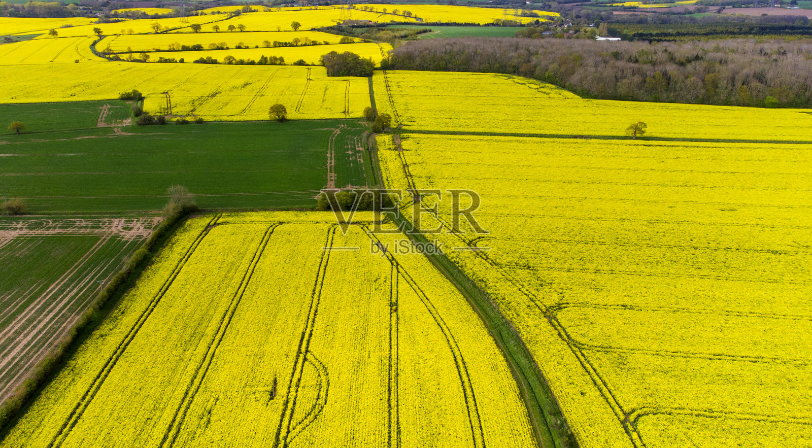 英国萨福克郡农村的黄色油菜田鸟瞰图照片摄影图片