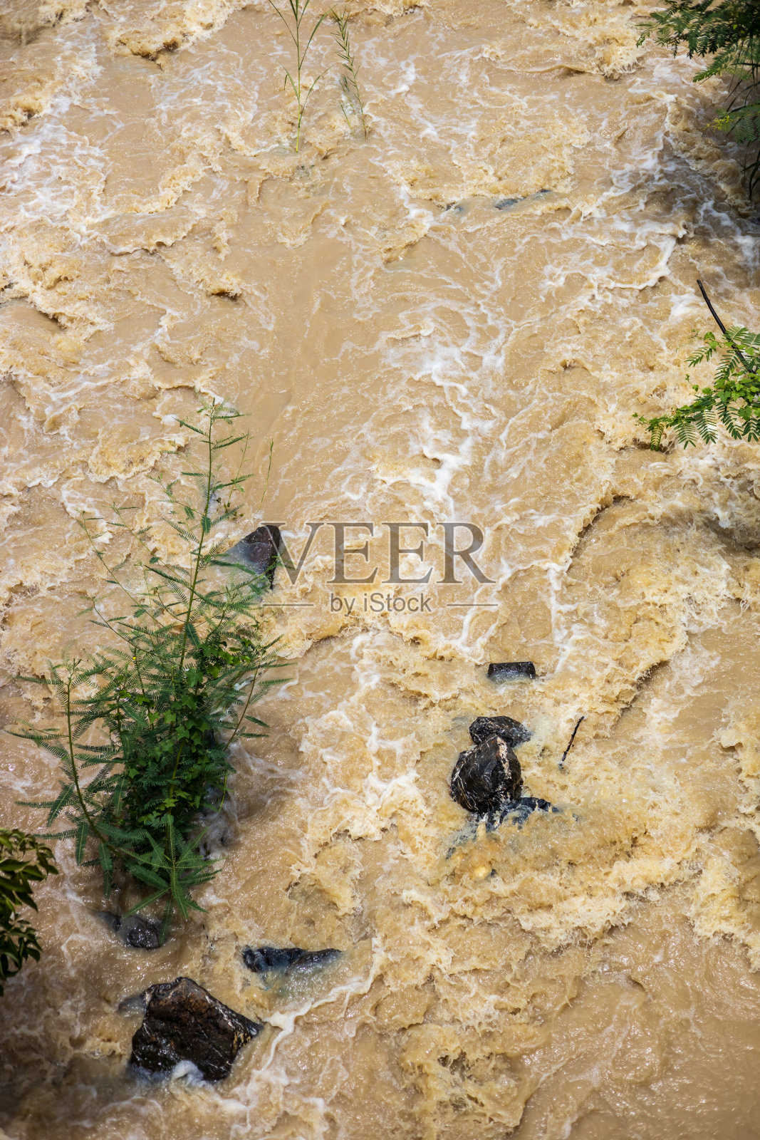 俯瞰湍急的水流穿过岩石和灌木。照片摄影图片