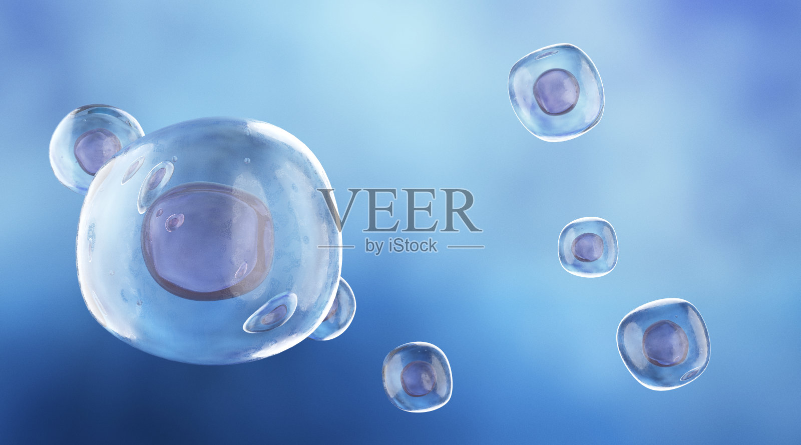 人类干细胞照片摄影图片