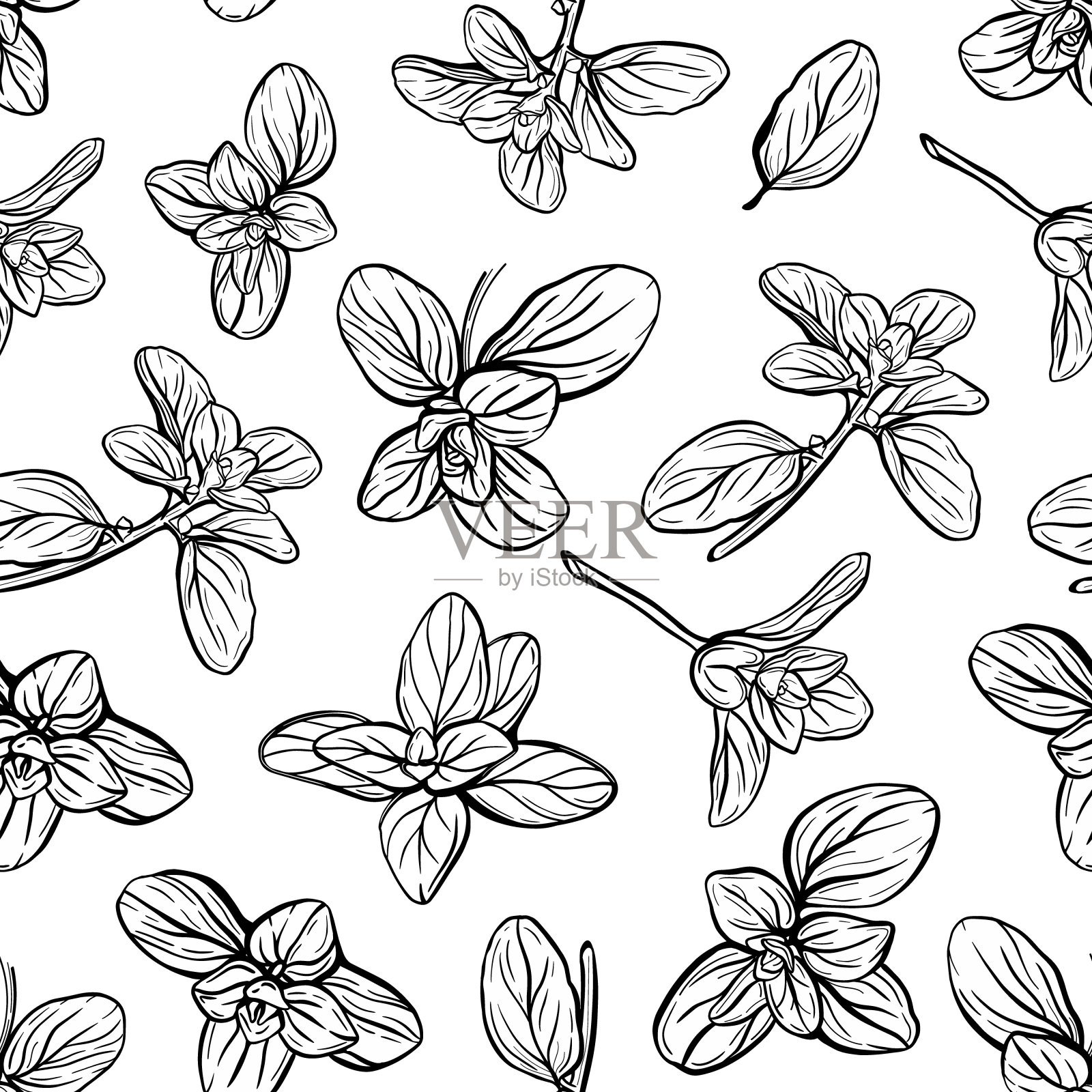 罗勒无缝模式。意大利草药。一小枝马郁兰。罗勒是一种芳香的调味料。手绘插图插画图片素材