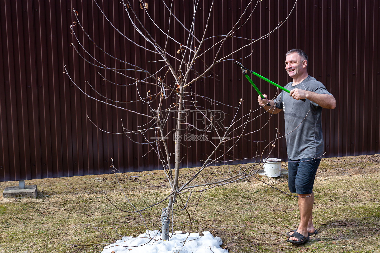 春季园艺：苹果树护理，乡村生活照片摄影图片