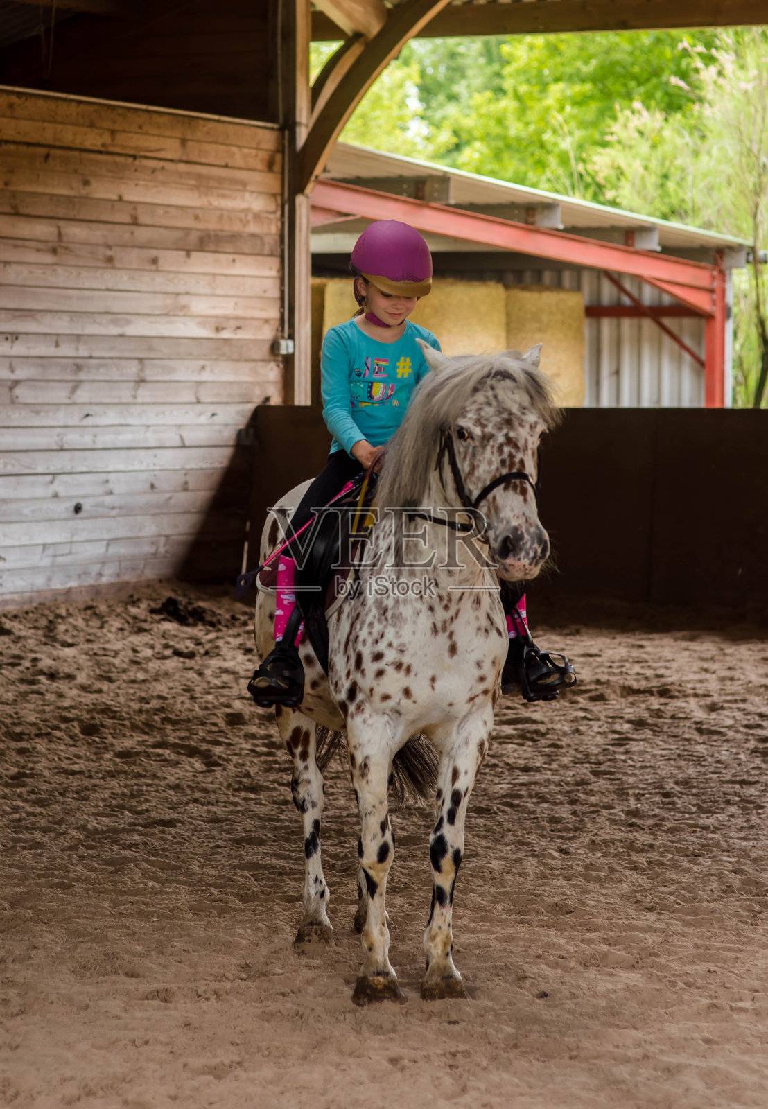 可爱的小女孩和她的狗在森林里散步照片摄影图片
